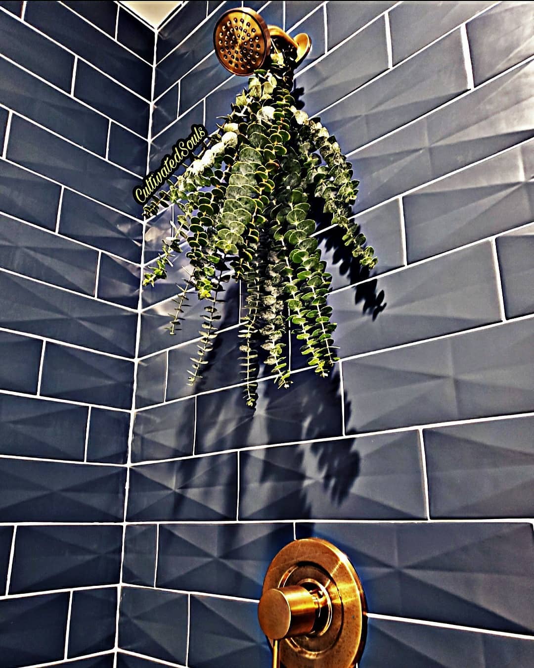 Eucalyptus Shower Bundles