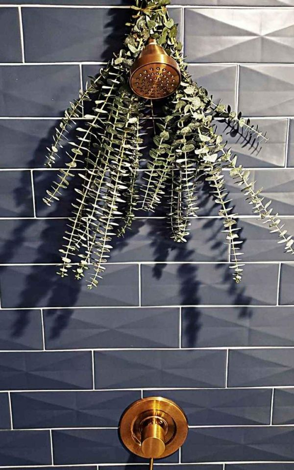 Eucalyptus Shower Bundles