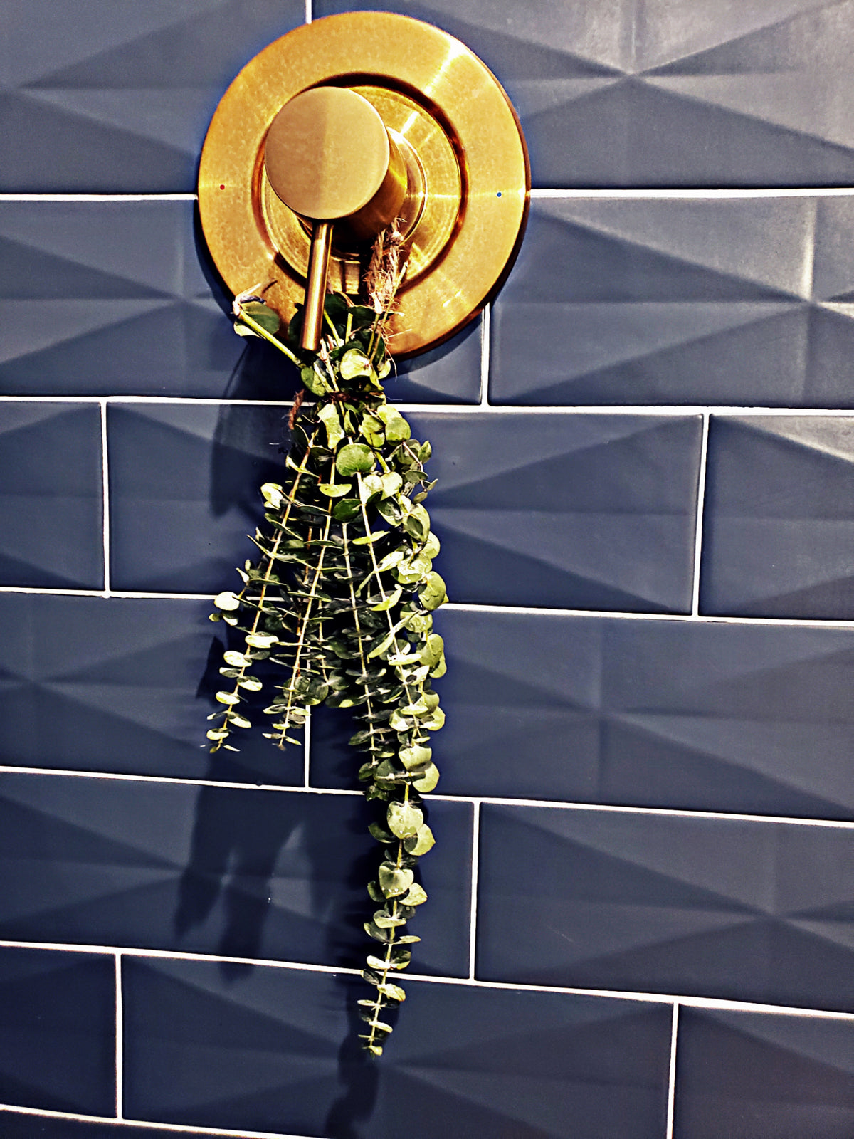 Eucalyptus Bathtub Bundle