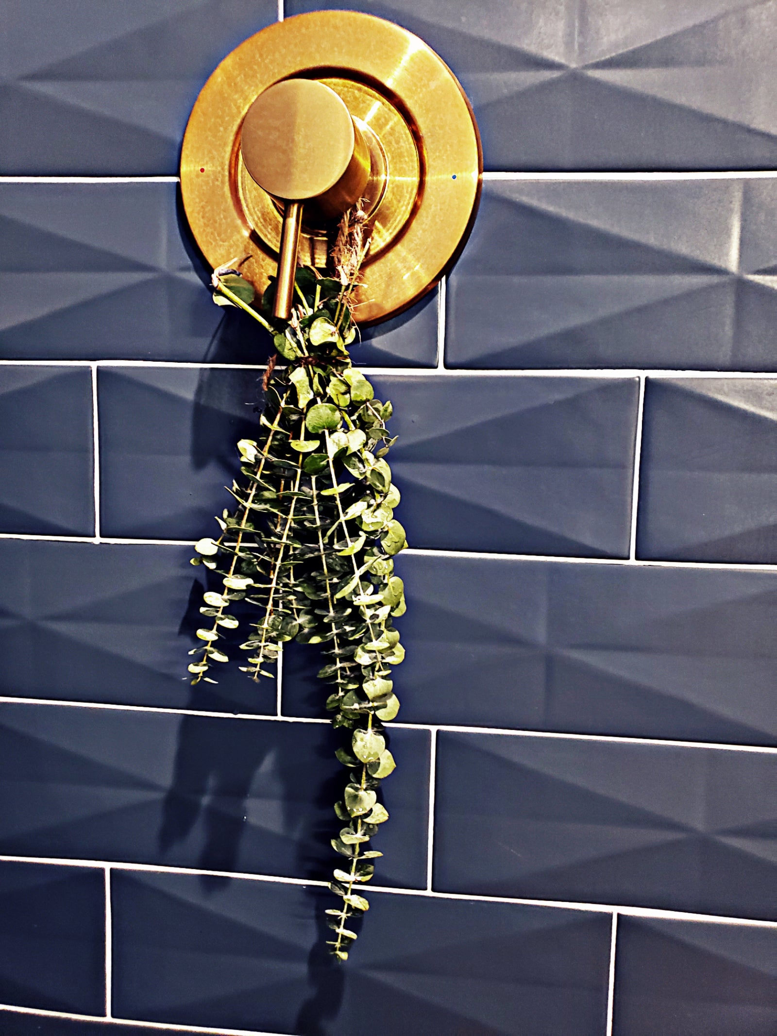 Eucalyptus Bathtub Bundle