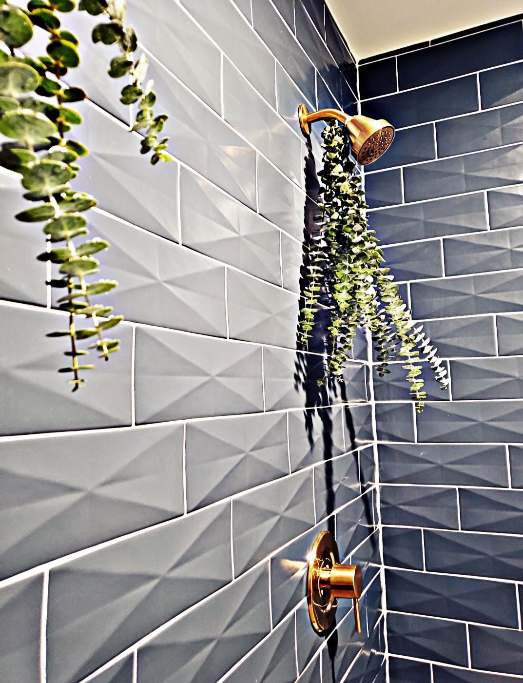 Eucalyptus Shower Bundles